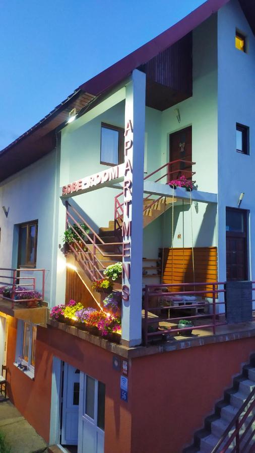 Apartmani Bozana Vojinovic Žabljak Exteriör bild
