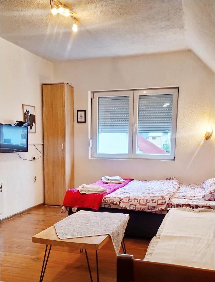 Apartmani Bozana Vojinovic Žabljak Exteriör bild