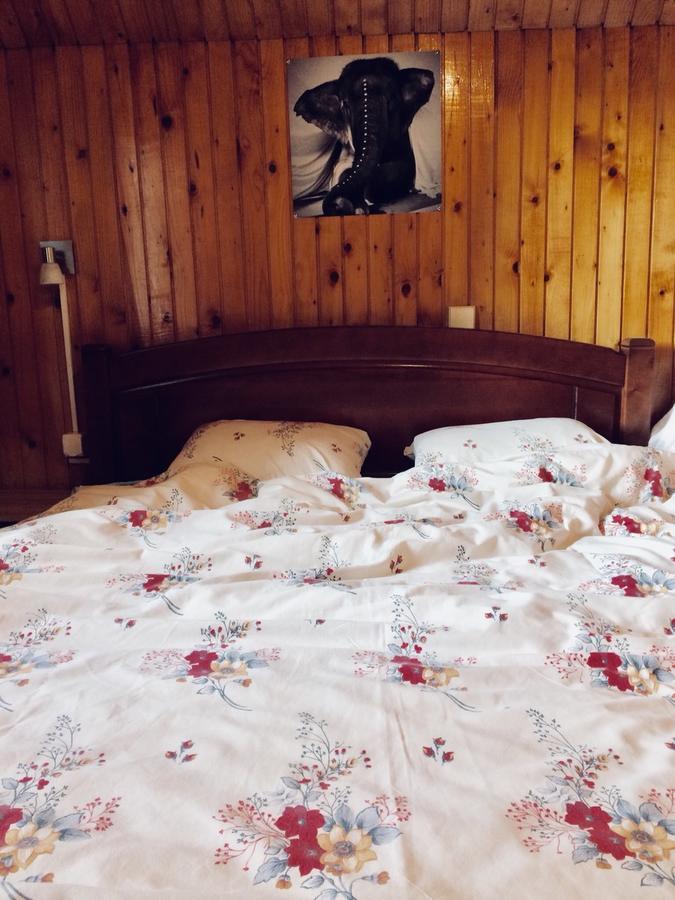 Apartmani Bozana Vojinovic Žabljak Exteriör bild