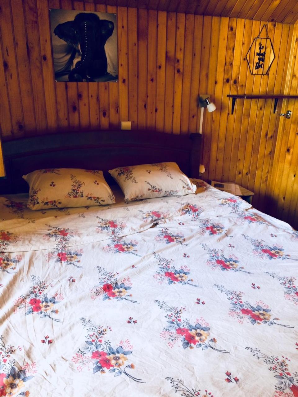 Apartmani Bozana Vojinovic Žabljak Exteriör bild