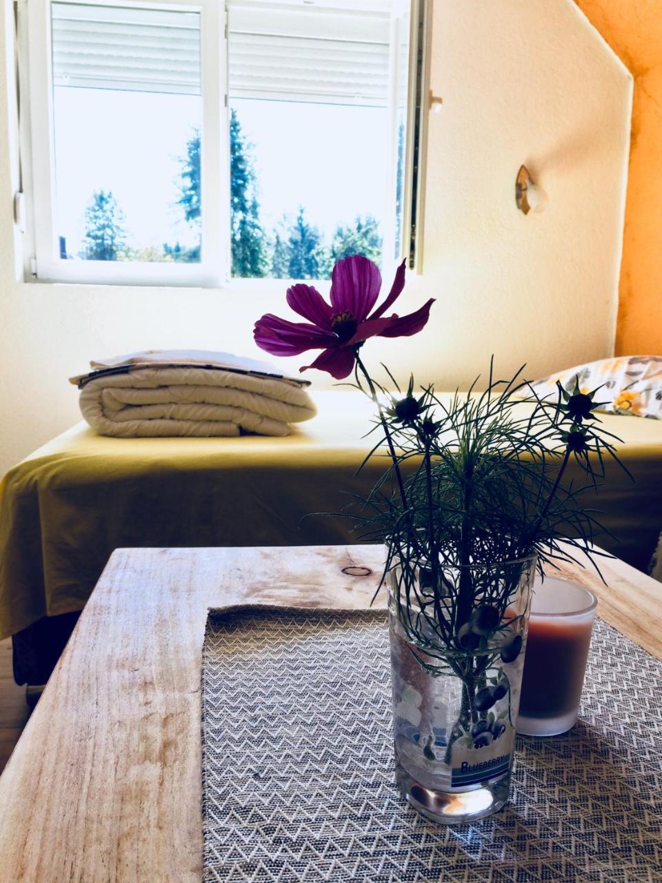 Apartmani Bozana Vojinovic Žabljak Exteriör bild